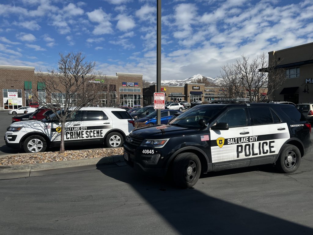 Photo of police car and crime scene car.